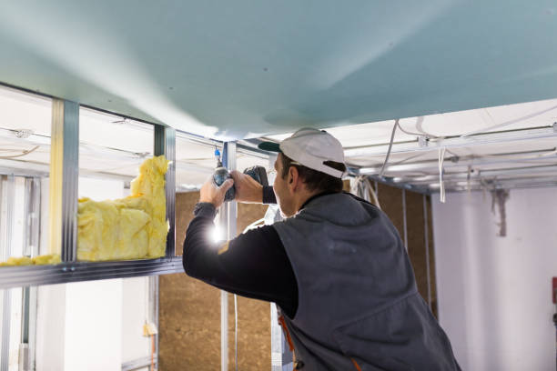 Best Wall Insulation Installation  in West Branch, MI