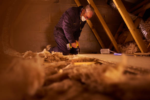 Best Blown-In Insulation  in West Branch, MI